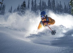 中国体彩网|电竞公正之战，WCA官方对替打行为零容忍，五队员一教练遭年度禁赛