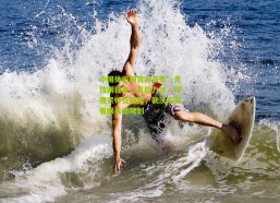 中国体彩网官方首页：竞技网独家，高层力挺，阿隆索帅位稳固，勒沃库森着眼长远规划