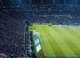 【中国体彩】约基奇冷静演绎史诗绝杀！LOGO压哨三分定格胜利瞬间