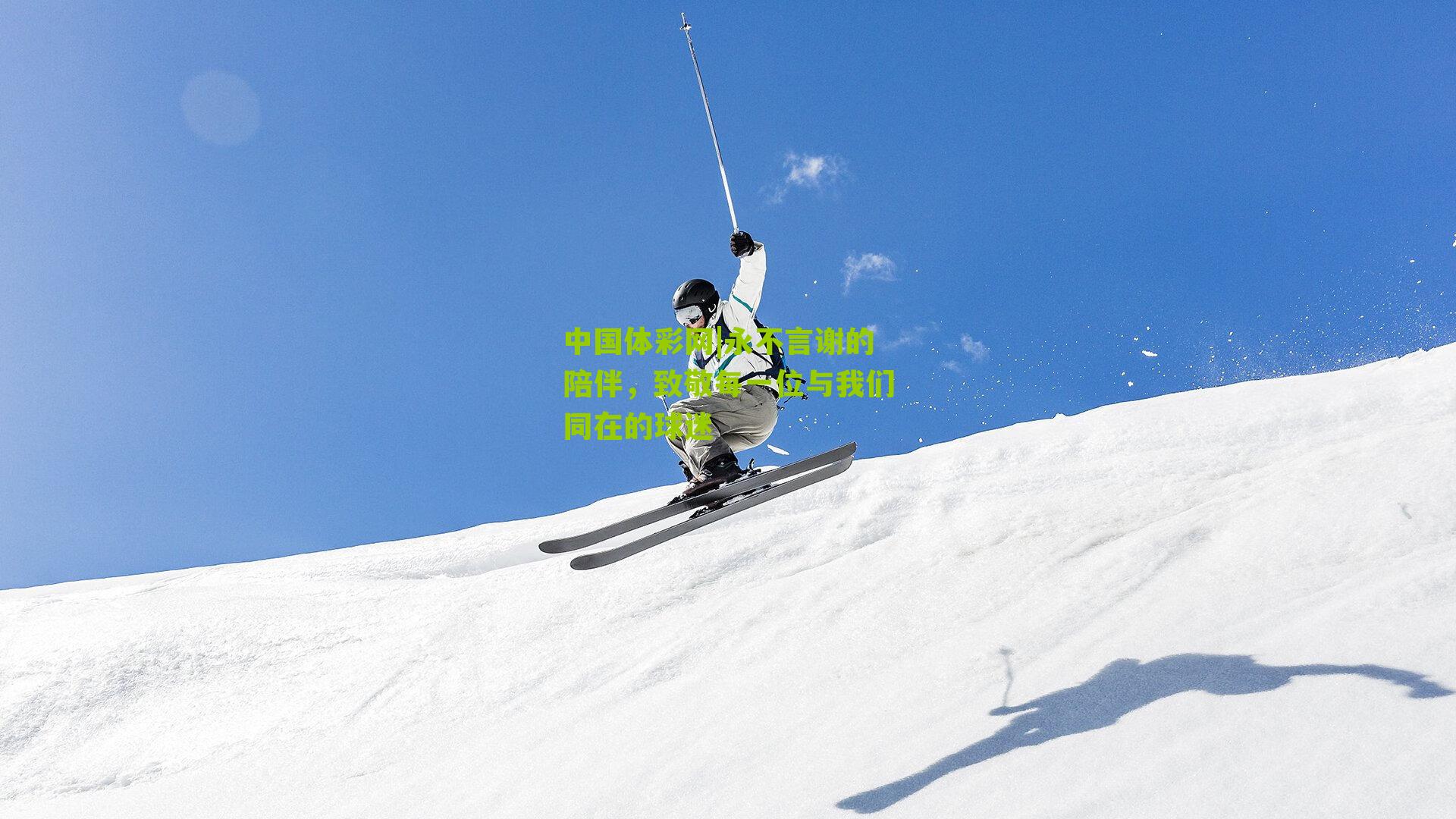 永不言谢的陪伴，致敬每一位与我们同在的球迷