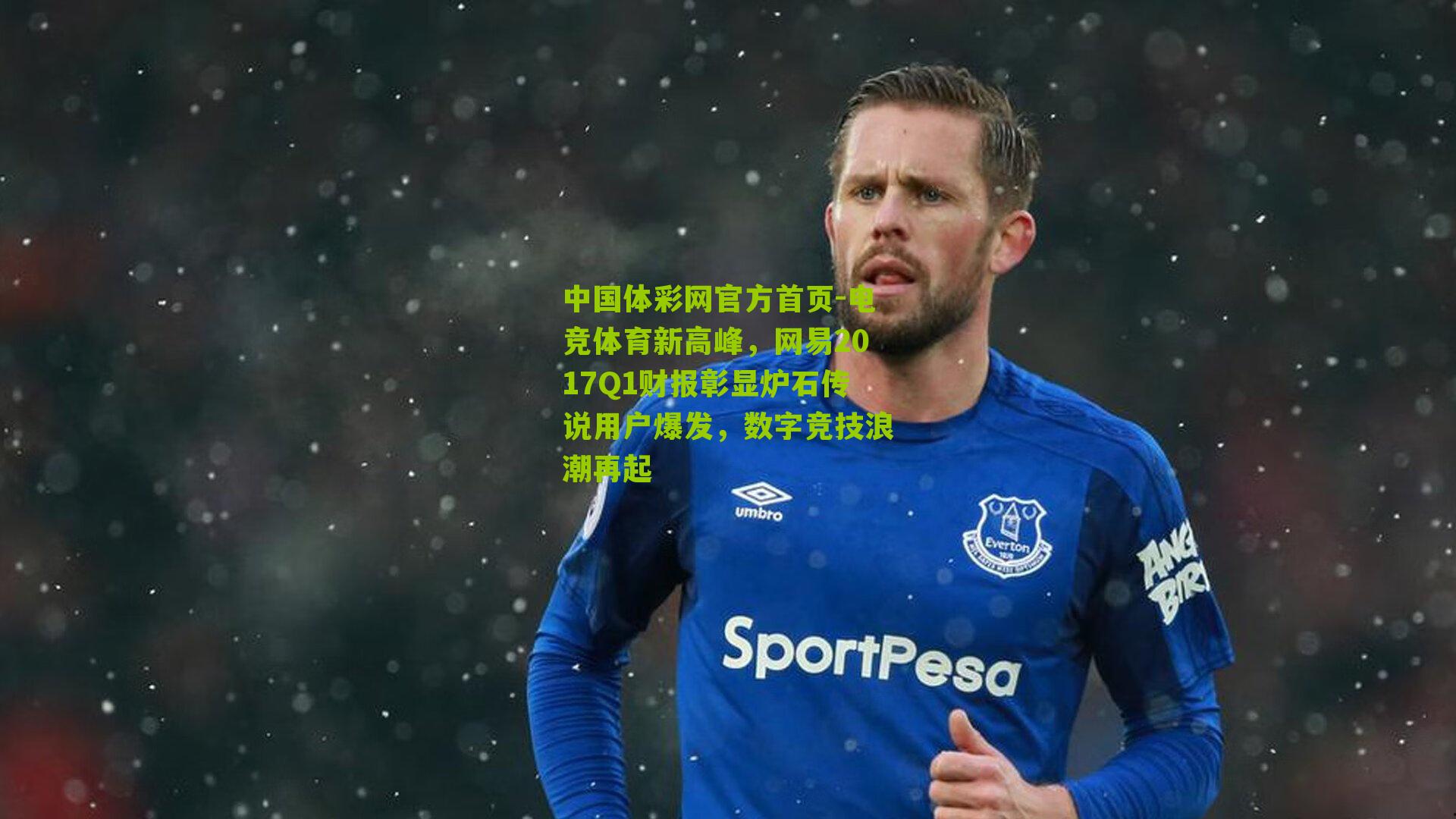 电竞体育新高峰，网易2017Q1财报彰显炉石传说用户爆发，数字竞技浪潮再起