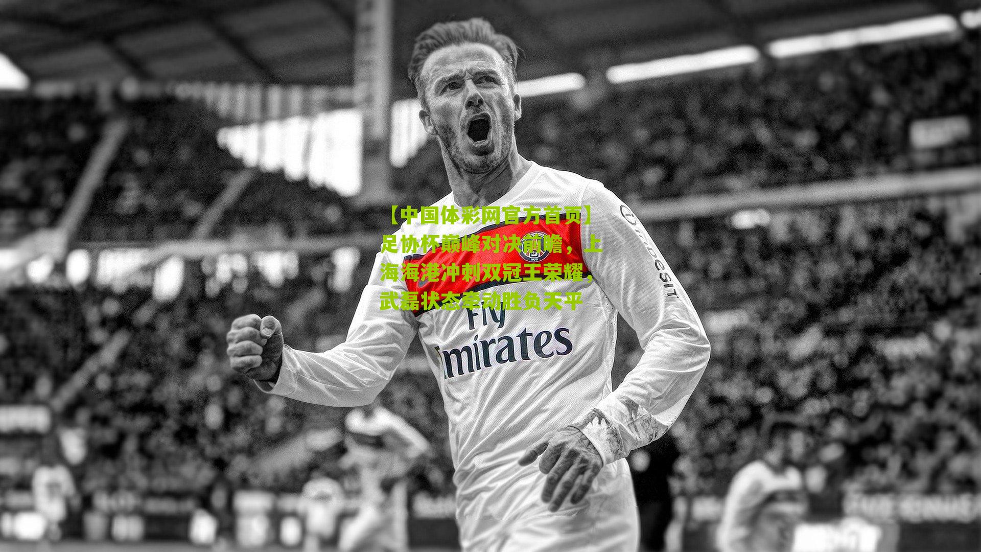 足协杯巅峰对决前瞻，上海海港冲刺双冠王荣耀，武磊状态牵动胜负天平